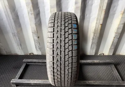 Hankook Nordik IS RW08 225/60 R17 99T — фото 2