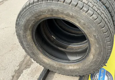 Dunlop Winter Maxx LT03 225/70 R16 LT — фото 6